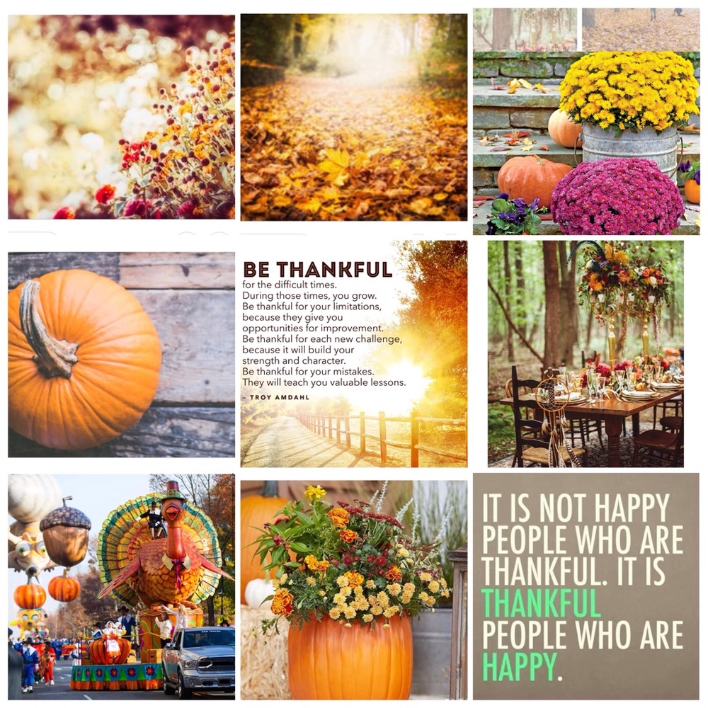 Happy Thanksgiving - Picture 4 of 8
